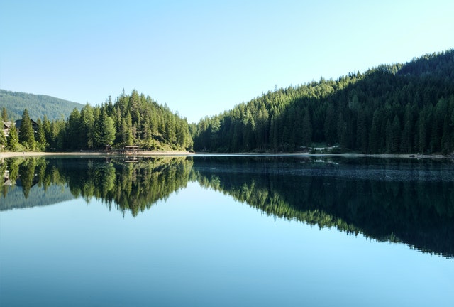 jezero u lesa